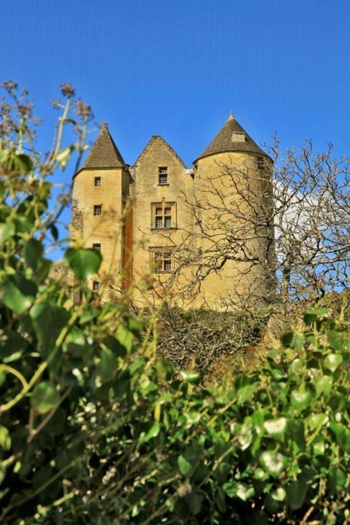 Petite maison en pierre au coeur du Périgord noir proche de Sarlat et Rocamadour Salignac Eyvigues Extérieur photo